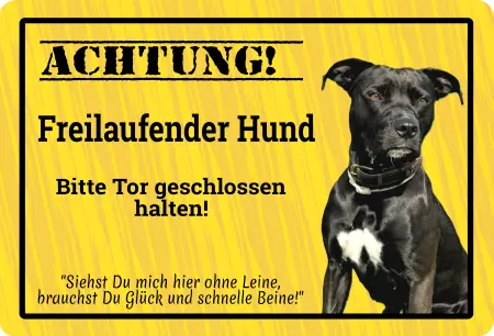 Hunde Vorsicht Warnschild Zutritt verbotenHunde Achtung! Freilaufender Hund Bild