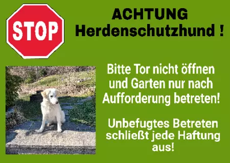 Hunde Vorsicht Warnschild Zutritt verboten Hunde ACHTUNG Herdenschutzhund! Bild