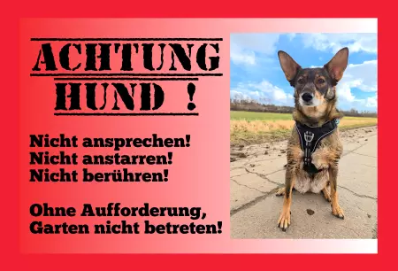 Hunde Vorsicht Warnschild Zutritt verbotenHunde Achtung Hund! Bild