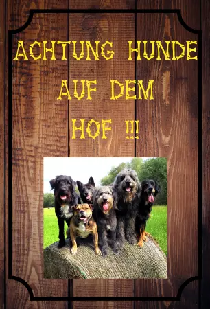 Hunde Vorsicht Warnschild Zutritt verbotenHunde ACHTUNG HUNDE AUF DEM HOF !!! Bild