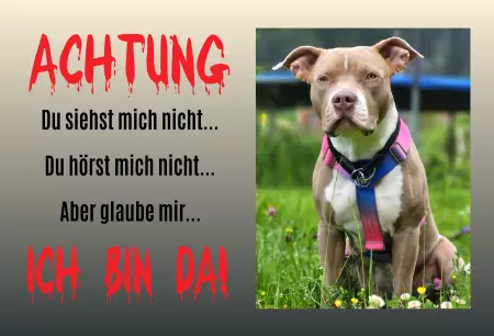 Hunde Vorsicht Warnschild Zutritt verbotenHunde ACHTUNG - ICH BIN DA Bild