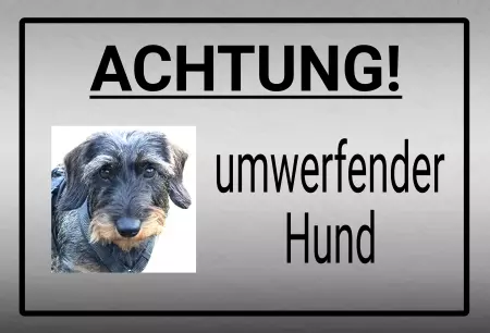 Hunde Vorsicht Warnschild Zutritt verbotenHunde ACHTUNG! Umwerfender Hund Bild