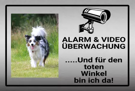 Hunde Vorsicht Warnschild Zutritt verbotenHunde Alarm & Videoüberwachung Bild