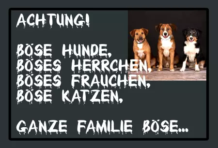 Hunde Vorsicht Warnschild Zutritt verbotenHunde Böse Hunde, böses Herrchen Bild