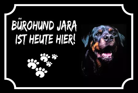 Hunde Vorsicht Warnschild Zutritt verbotenHunde Bürhohund Jara Bild