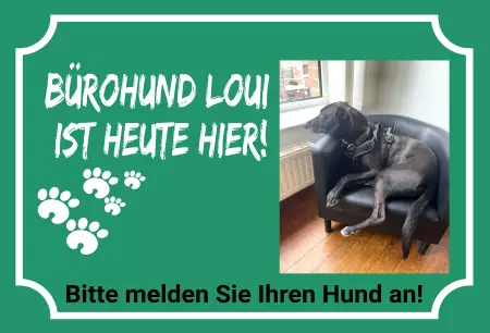 Hunde Vorsicht Warnschild Zutritt verbotenHunde Bürohund Loui ist heute hier! Bild