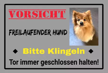 Hunde Vorsicht Warnschild Zutritt verbotenHunde Freilaufender Hund Bitte klingeln Bild