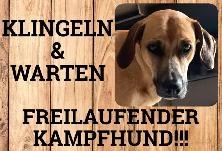 Hunde Vorsicht Warnschild Zutritt verbotenHunde Freilaufender Kampfhund!!! Bild