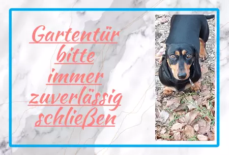 Hunde Vorsicht Warnschild Zutritt verbotenHunde Gartentür bitte immer zuverlässig schließen Bild