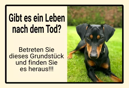 Hunde Vorsicht Warnschild Zutritt verbotenHunde Gibt es ein Leben nach dem Tod? Bild