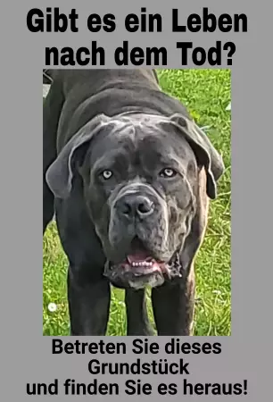 Hunde Vorsicht Warnschild Zutritt verbotenHunde Gibt es ein Leben nach dem Tod? Bild