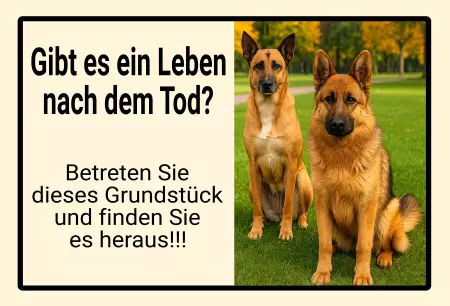 Hunde Vorsicht Warnschild Zutritt verbotenHunde Gibt es ein Leben nach dem Tod? Bild
