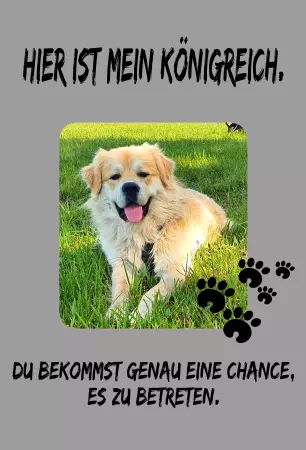 Hunde Vorsicht Warnschild Zutritt verboten Hunde Hier ist mein Königreich Bild