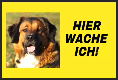 Hunde Vorsicht Warnschild Zutritt verbotenHunde Hier wache ich! Bild
