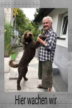 Hunde Vorsicht Warnschild Zutritt verbotenHunde Hier wachen wir Bild