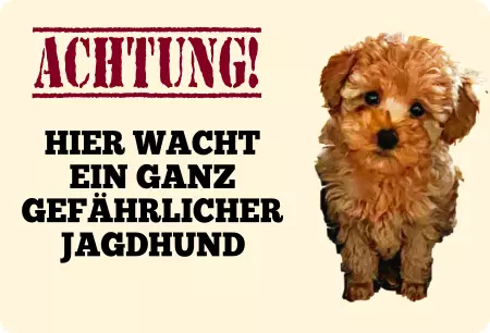 Hunde Vorsicht Warnschild Zutritt verbotenHunde Hier wacht ein ganz gefährlicher Jagdhund Bild