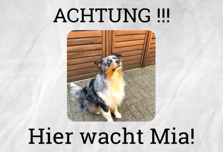 Hunde Vorsicht Warnschild Zutritt verbotenHunde Hier wacht Mia! Bild