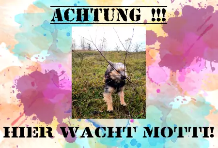 Hunde Vorsicht Warnschild Zutritt verboten Hunde HIER WACHT MOTTI! Bild