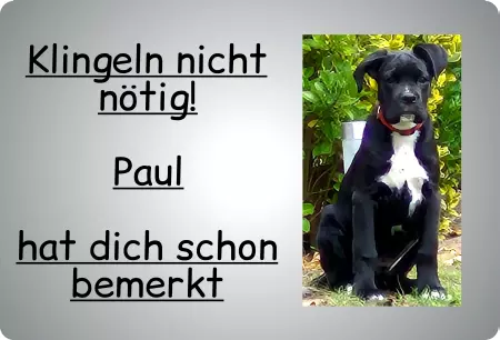 Hunde Vorsicht Warnschild Zutritt verboten Hunde Klingeln nicht nötig! Bild