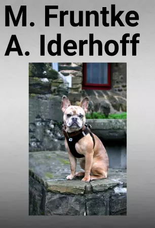 Hunde Vorsicht Warnschild Zutritt verbotenHunde M. Fruntke Bild