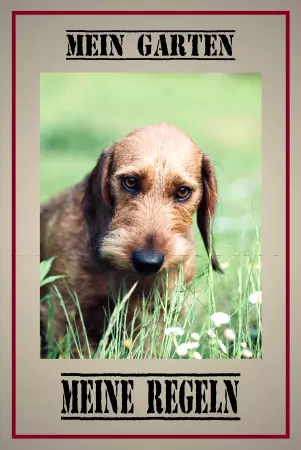 Hunde Vorsicht Warnschild Zutritt verboten Hunde MEIN GARTEN - MEINE REGELN Bild
