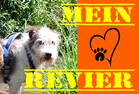 Hunde Vorsicht Warnschild Zutritt verbotenHunde Mein Revier Bild