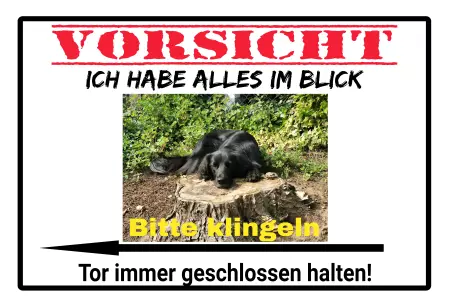Hunde Vorsicht Warnschild Zutritt verboten Hunde Tor geschlossen halten Bild