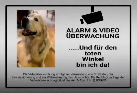 Hunde Vorsicht Warnschild Zutritt verboten Hunde ... und für den toten Winkel bin ich da! Bild