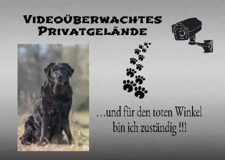Hunde Vorsicht Warnschild Zutritt verboten Hunde ... und für den toten Winkel bin ich zuständig!!! Bild
