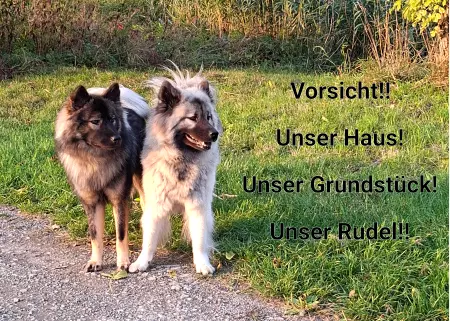 Hunde Vorsicht Warnschild Zutritt verbotenHunde Unser Haus! Unser Grundstück! Unser Rudel! Bild
