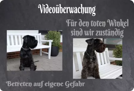 Hunde Vorsicht Warnschild Zutritt verbotenHunde Videoüberwachung Für den toten Winkel ... Bild