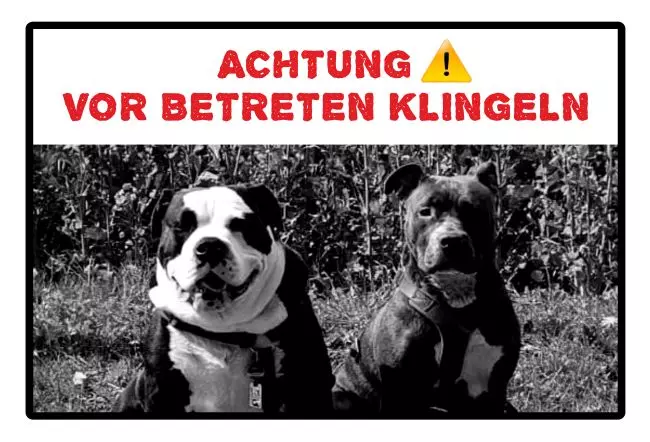 Hunde Vorsicht Warnschild Zutritt verboten Hunde Vor betreten klingeln Bild