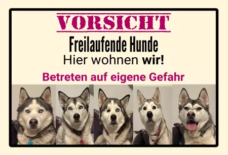 Hunde Vorsicht Warnschild Zutritt verbotenHunde VORSICHT Freilaufende Hunde Bild