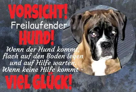 Hunde Vorsicht Warnschild Zutritt verbotenHunde VORSICHT - Freilaufender Hund Bild