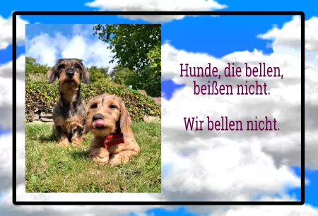 Hunde Vorsicht Warnschild Zutritt verboten Hunde Wir bellen nicht. Bild